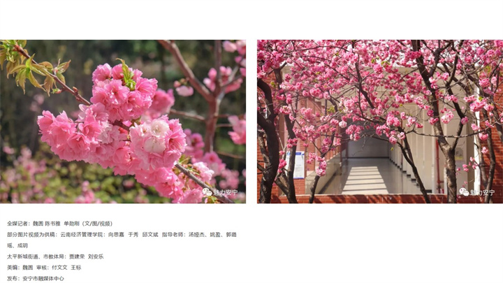 幻灯片2.jpg 幻灯片2.jpg