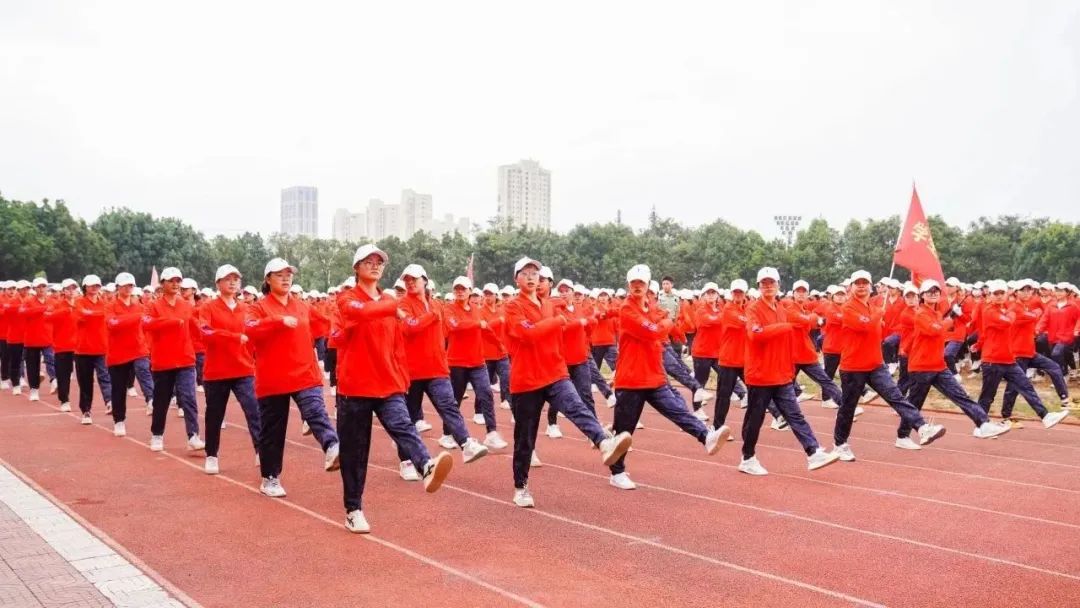 10.jpg 10.jpg
