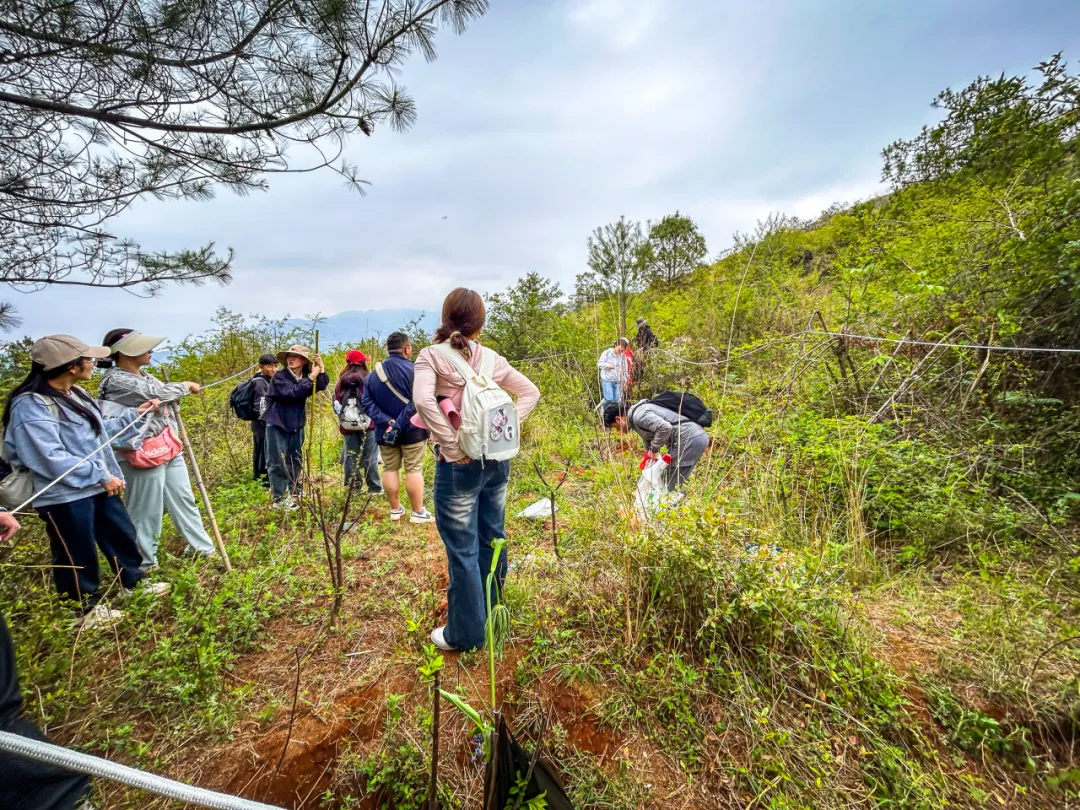 把课堂搬进山间,他们还带回来这些东西... 第 6 张 把课堂搬进山间,他们还带回来这些东西... 第 6 张