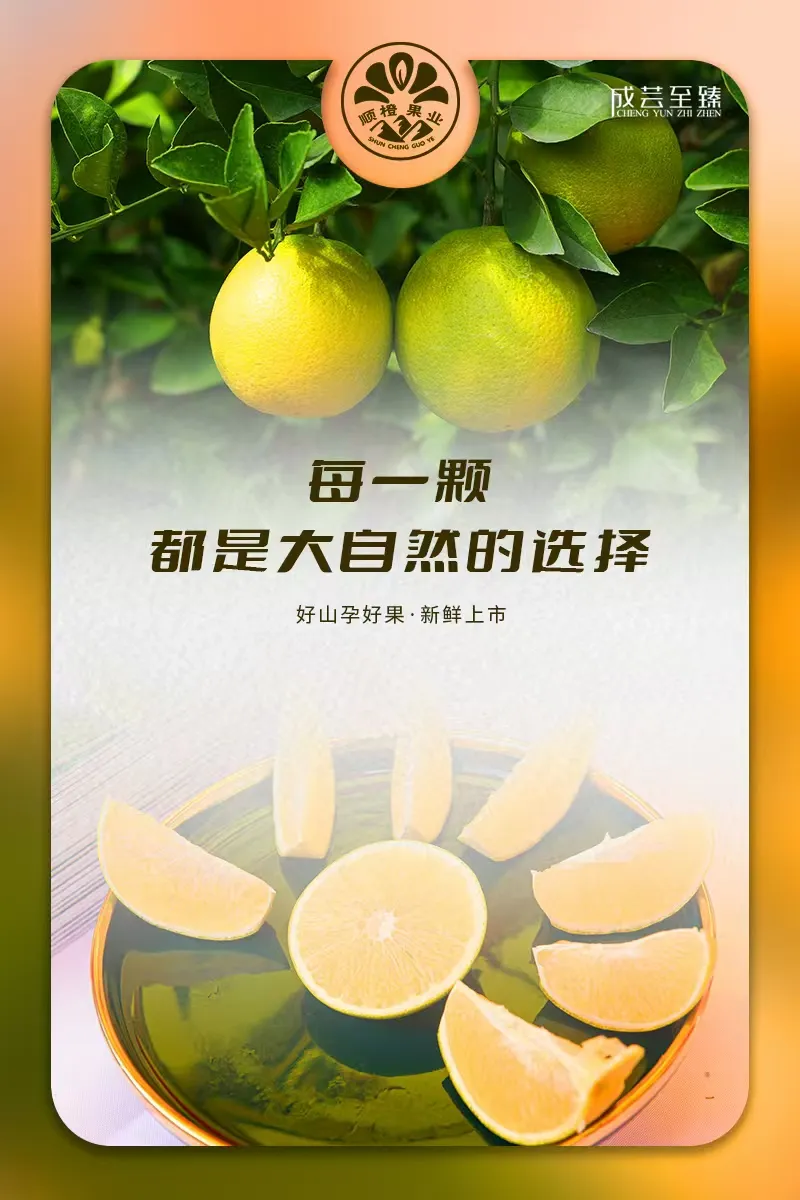 从哀牢山到全国银奖,这就是他的“橙”功故事! 第 10 张 从哀牢山到全国银奖,这就是他的“橙”功故事! 第 10 张