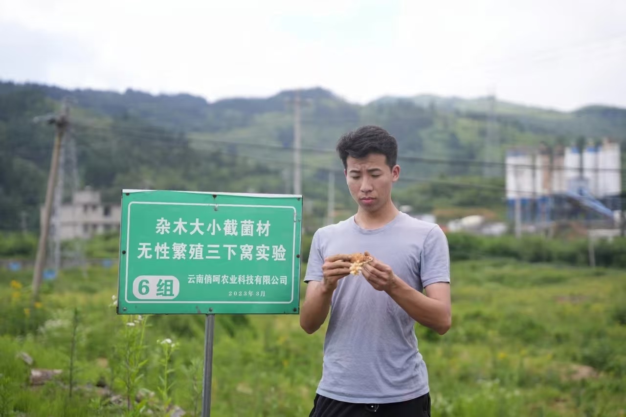 经管学子研发天麻新品种,还让农户年增收7万! 第 11 张 经管学子研发天麻新品种,还让农户年增收7万! 第 11 张