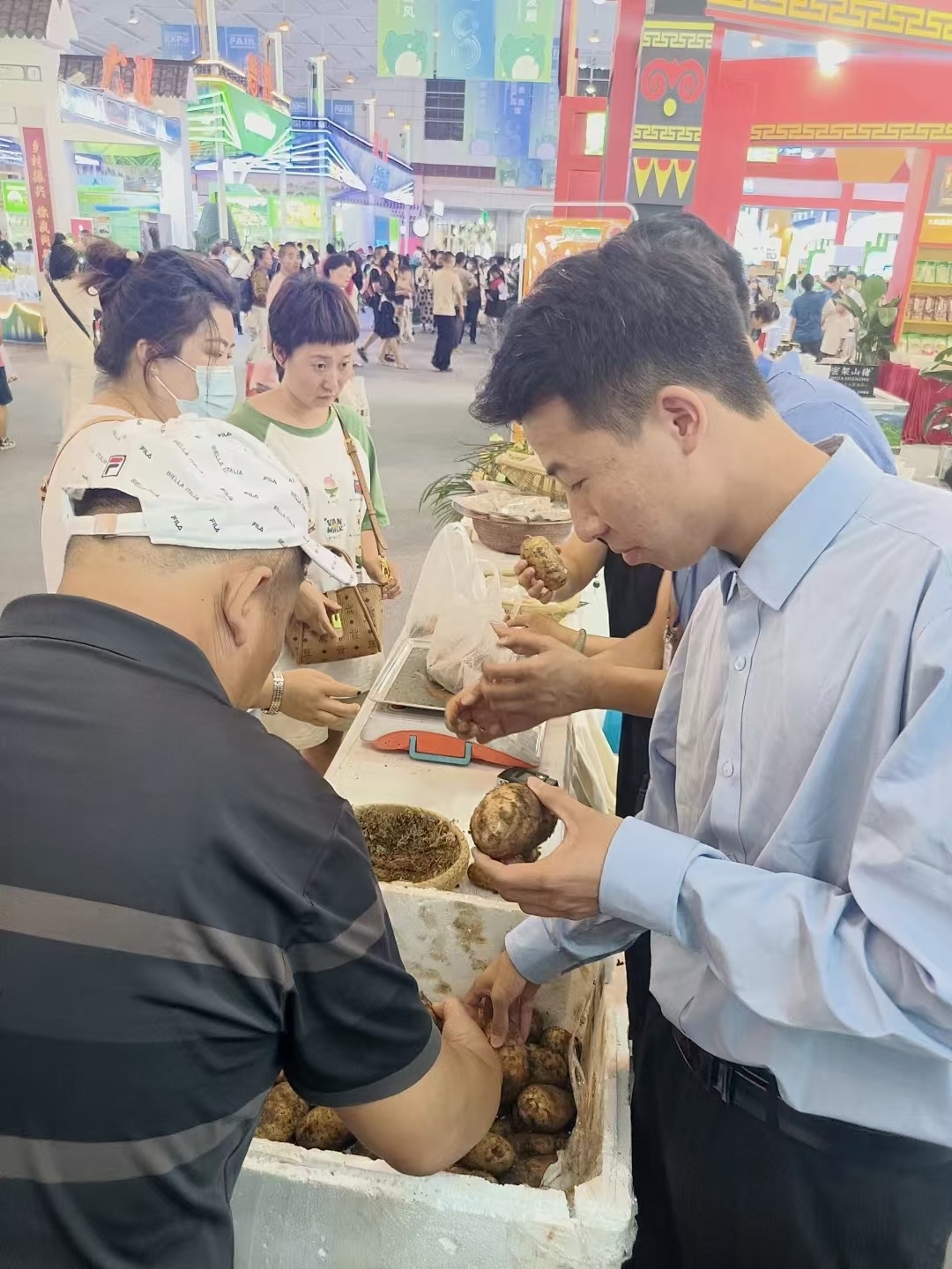 经管学子研发天麻新品种,还让农户年增收7万! 第 3 张 经管学子研发天麻新品种,还让农户年增收7万! 第 3 张