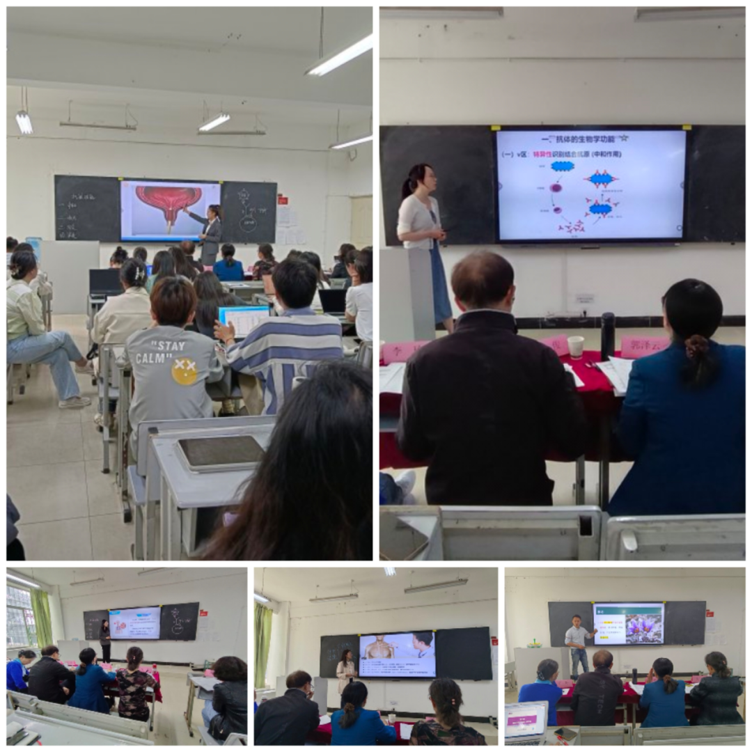 “明日教育之星”云南省第一届青年教师教学竞赛医学院院赛拉开帷幕 第 2 张 “明日教育之星”云南省第一届青年教师教学竞赛医学院院赛拉开帷幕 第 2 张