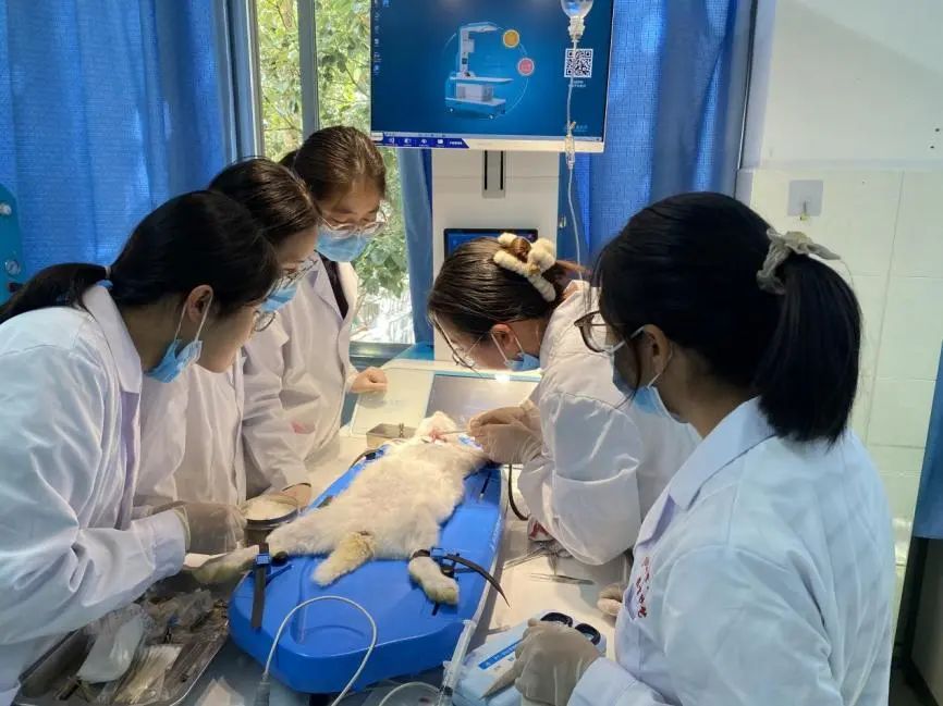 药理学课程组开展集体备课活动，凝心聚力促药理学实验教学创新与发展 第 3 张
