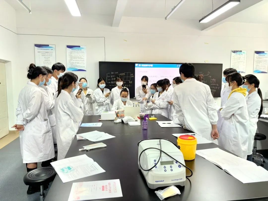 揭秘实时荧光定量PCR,精准捕捉乙肝病毒踪迹 第 2 张 揭秘实时荧光定量PCR,精准捕捉乙肝病毒踪迹 第 2 张