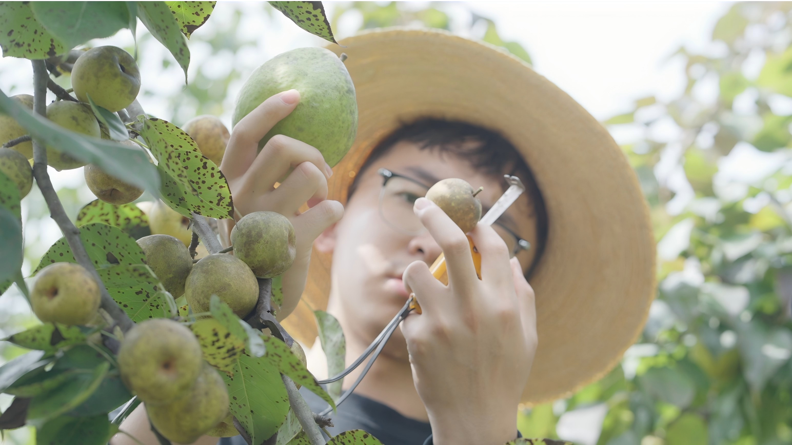 377f21853988356abc41a1a84aab3ee0.png 377f21853988356abc41a1a84aab3ee0.png