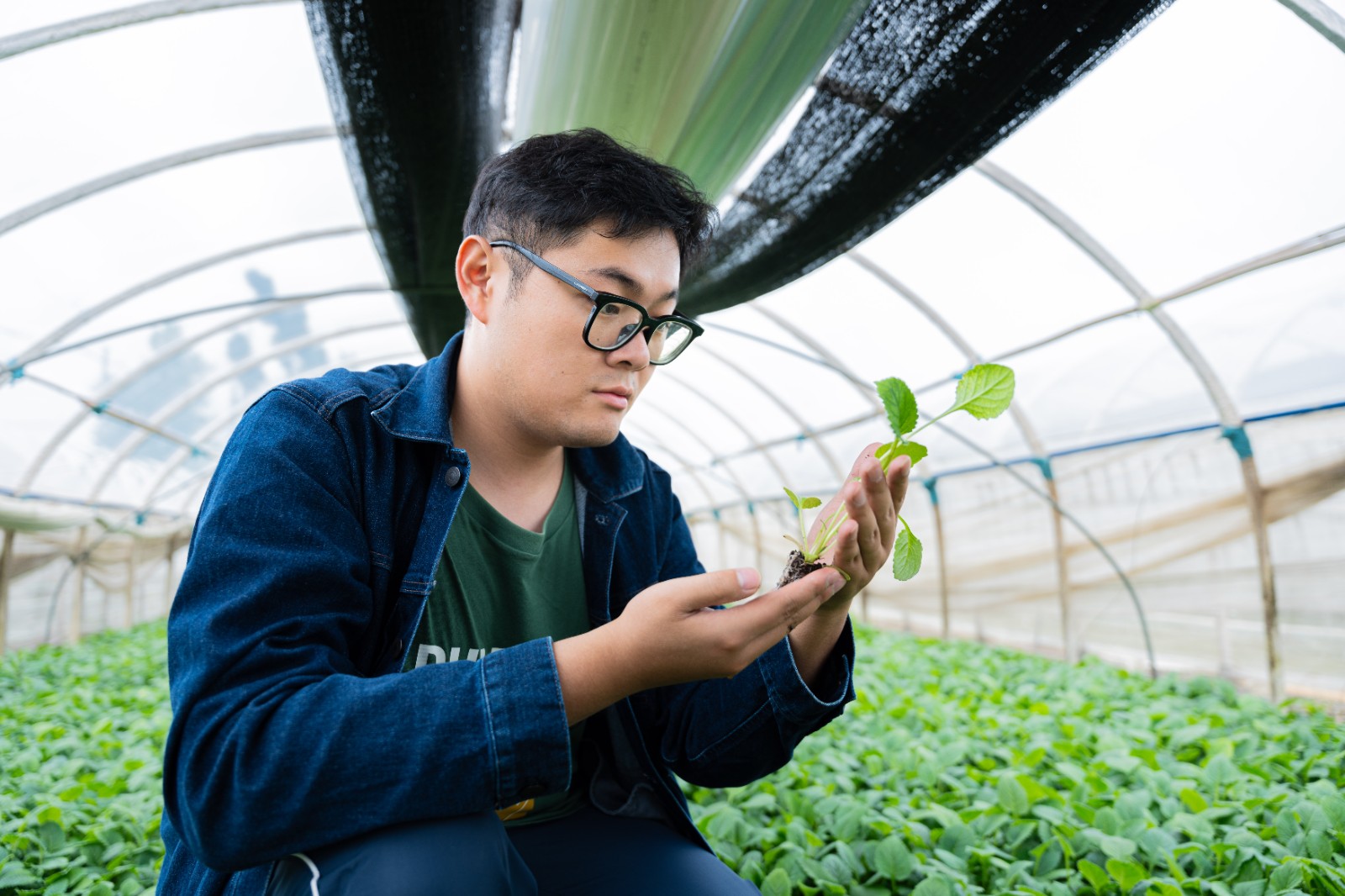 斩获全国银奖，这个团队让侠界奇药照见现实⁉️ 第 3 张