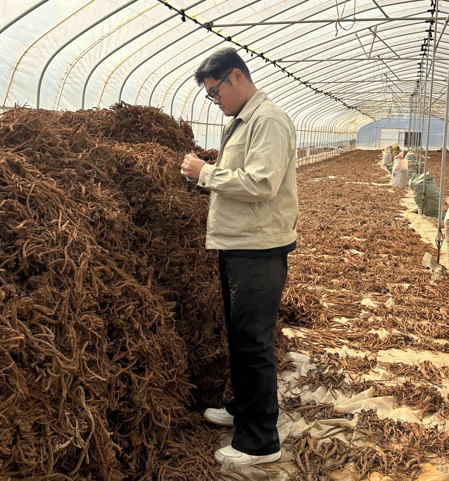 斩获全国银奖，这个团队让侠界奇药照见现实⁉️ 第 5 张