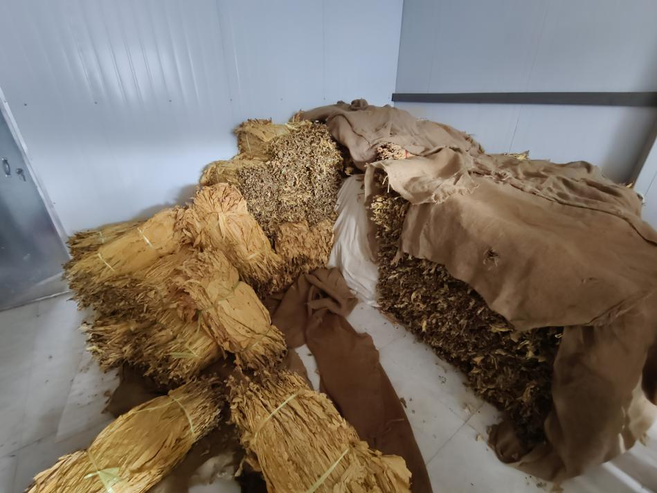 暑期社会实践 | 生物质燃料颗粒+自动化烘烤:烟草加工迈向“零碳”未来 第 8 张 暑期社会实践 | 生物质燃料颗粒+自动化烘烤:烟草加工迈向“零碳”未来 第 8 张