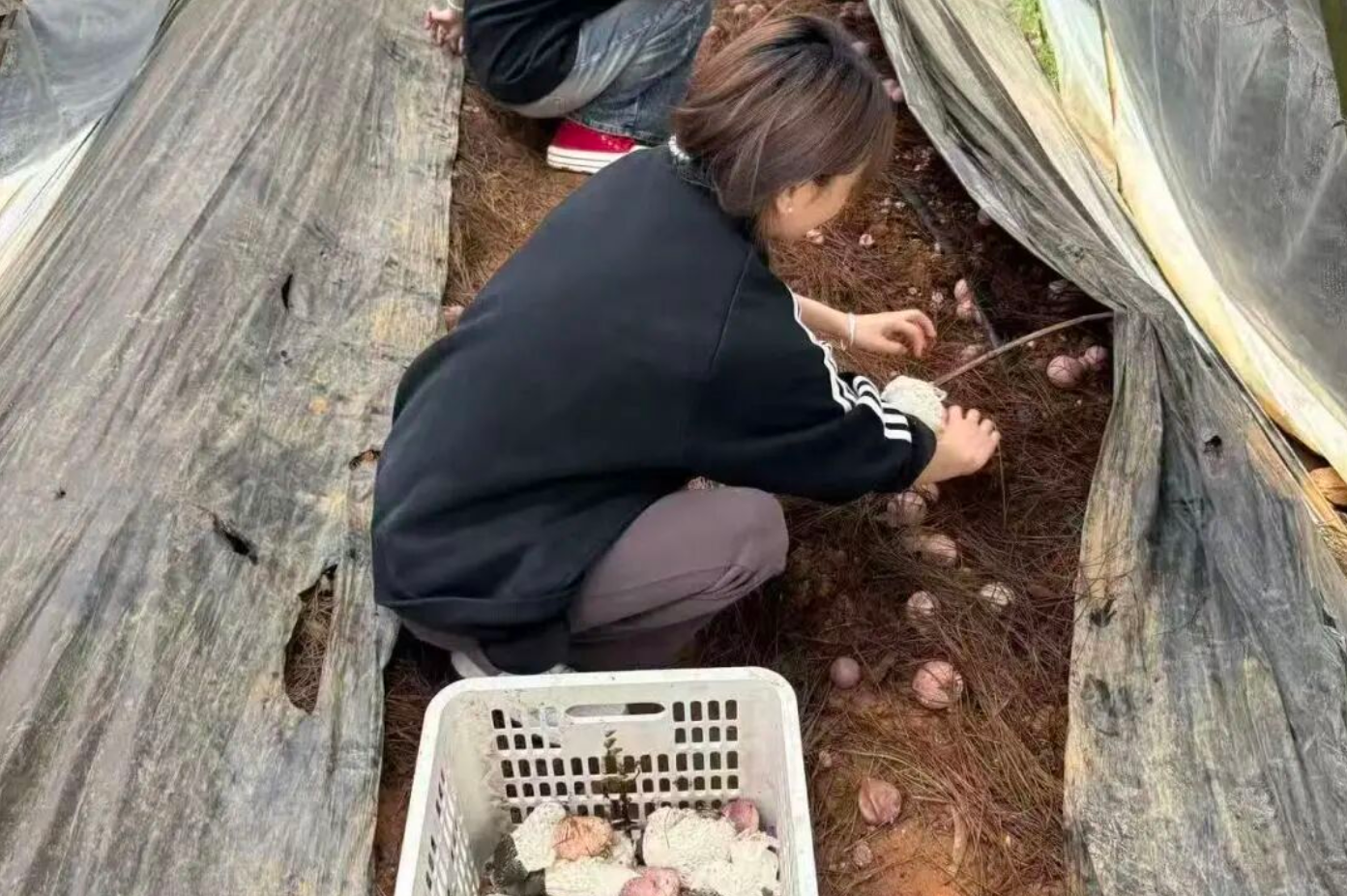 屏幕截图 2026-06-21 215329.png